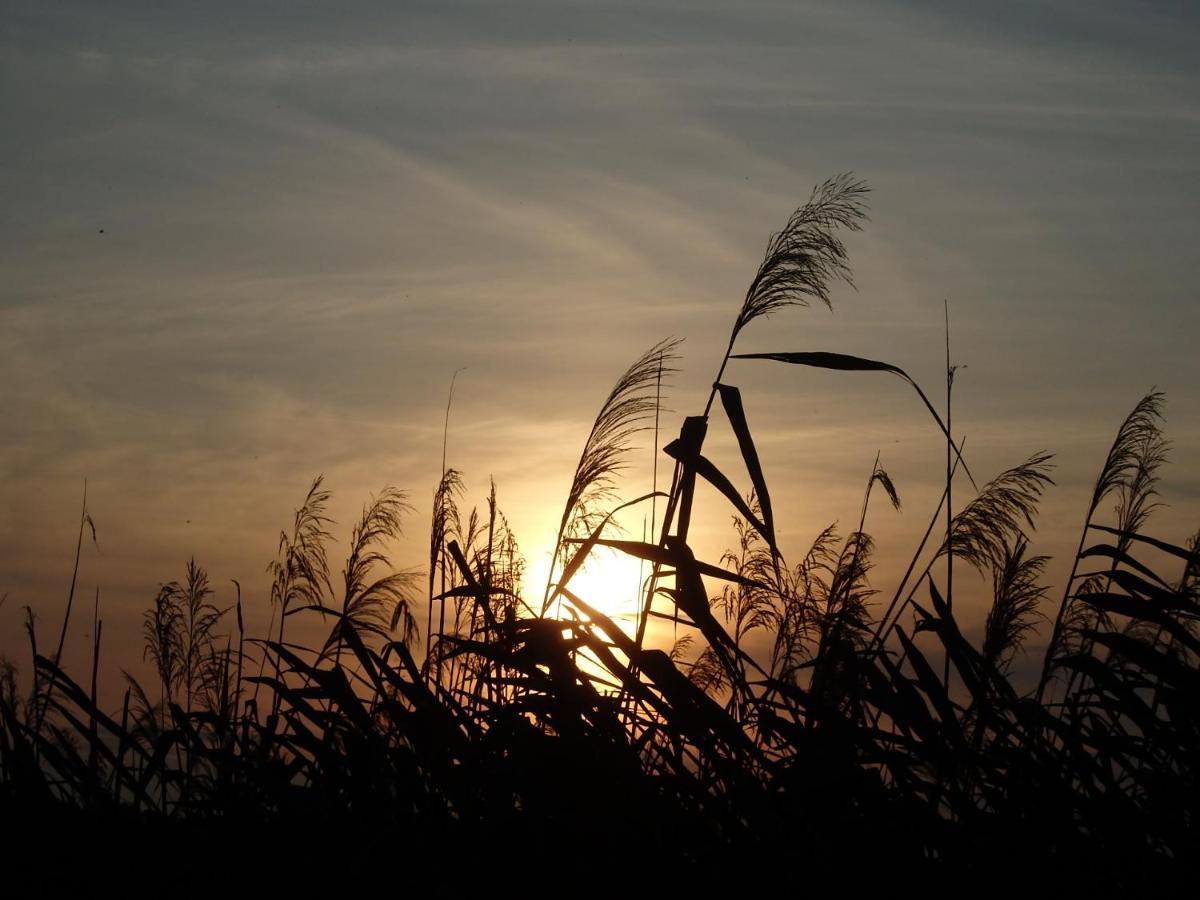 Krakowskie Mazury Gradzkie  Bagian luar foto