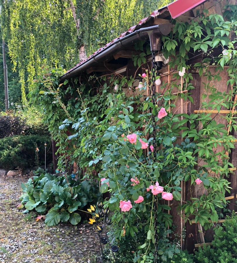Krakowskie Mazury Gradzkie  Bagian luar foto