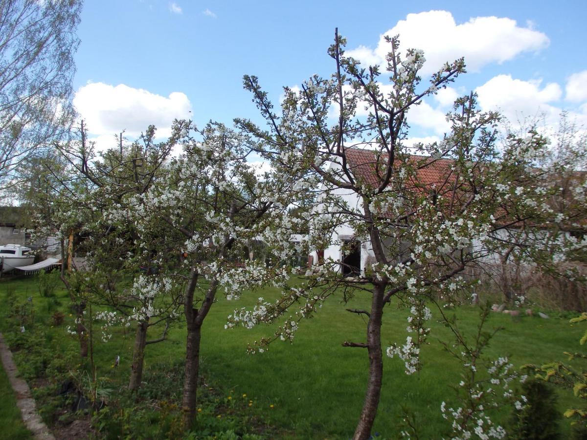 Krakowskie Mazury Gradzkie  Bagian luar foto